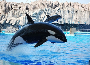 名古屋港水族館